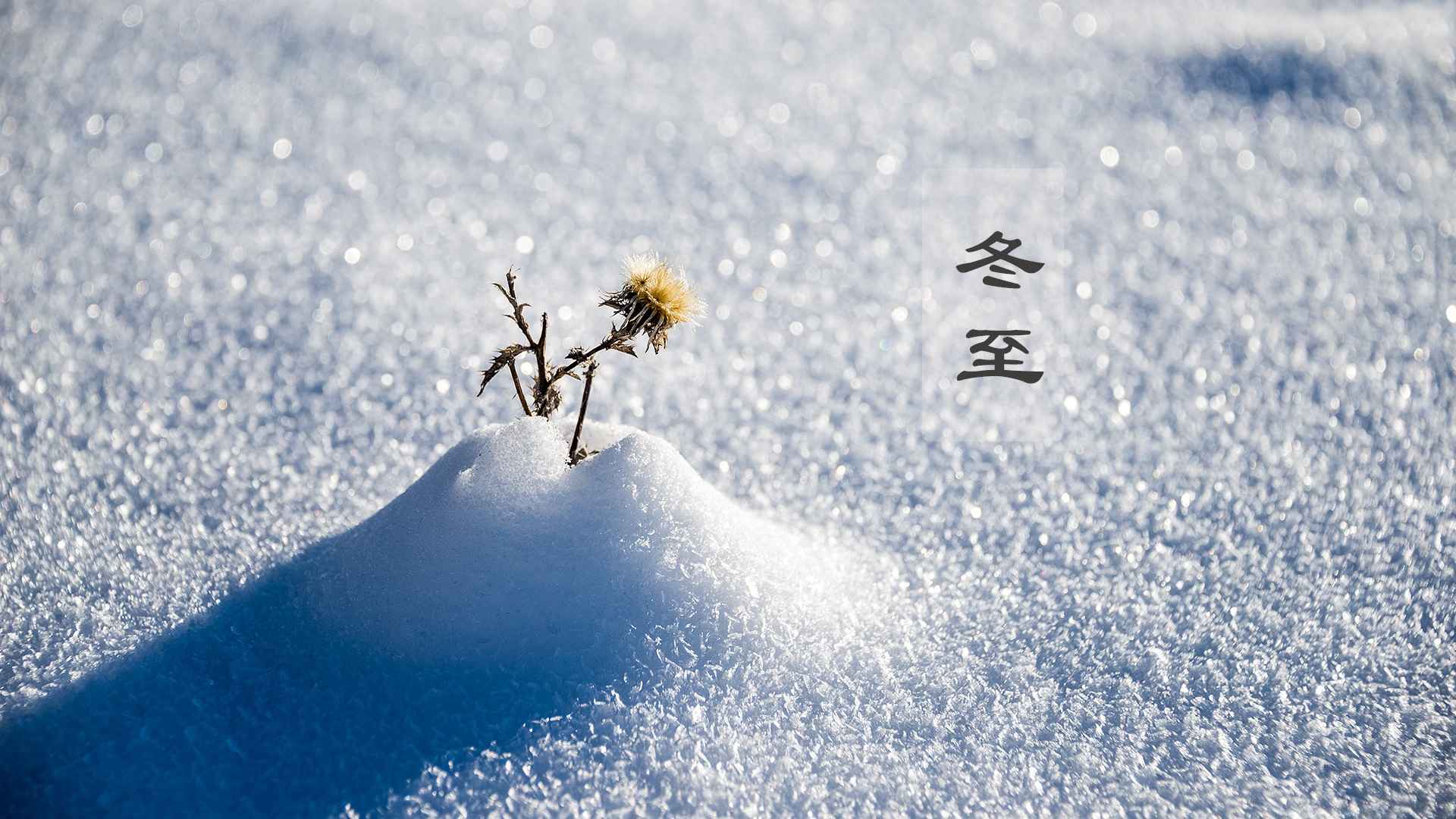 高清唯美浪漫的冬至雪景电脑桌面壁纸-