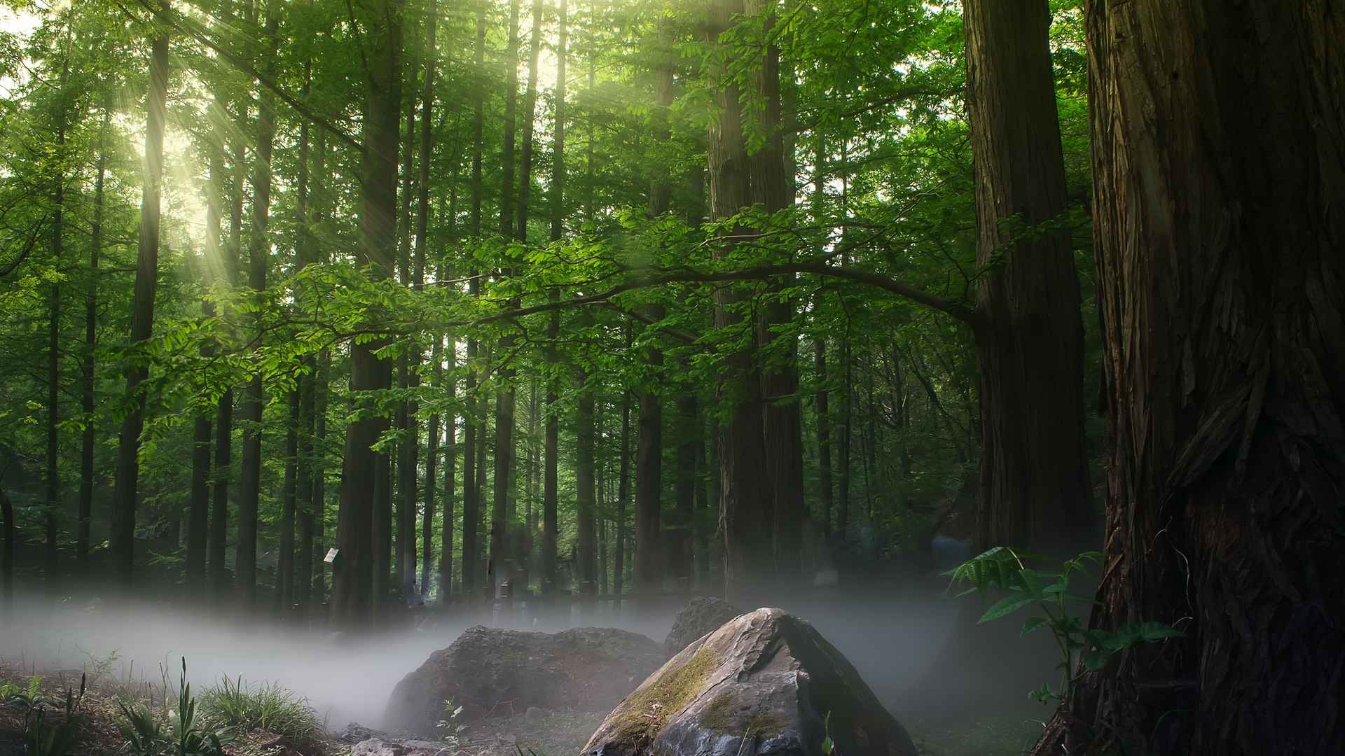 高清旅游放松是解心病的良药电脑桌面壁纸-