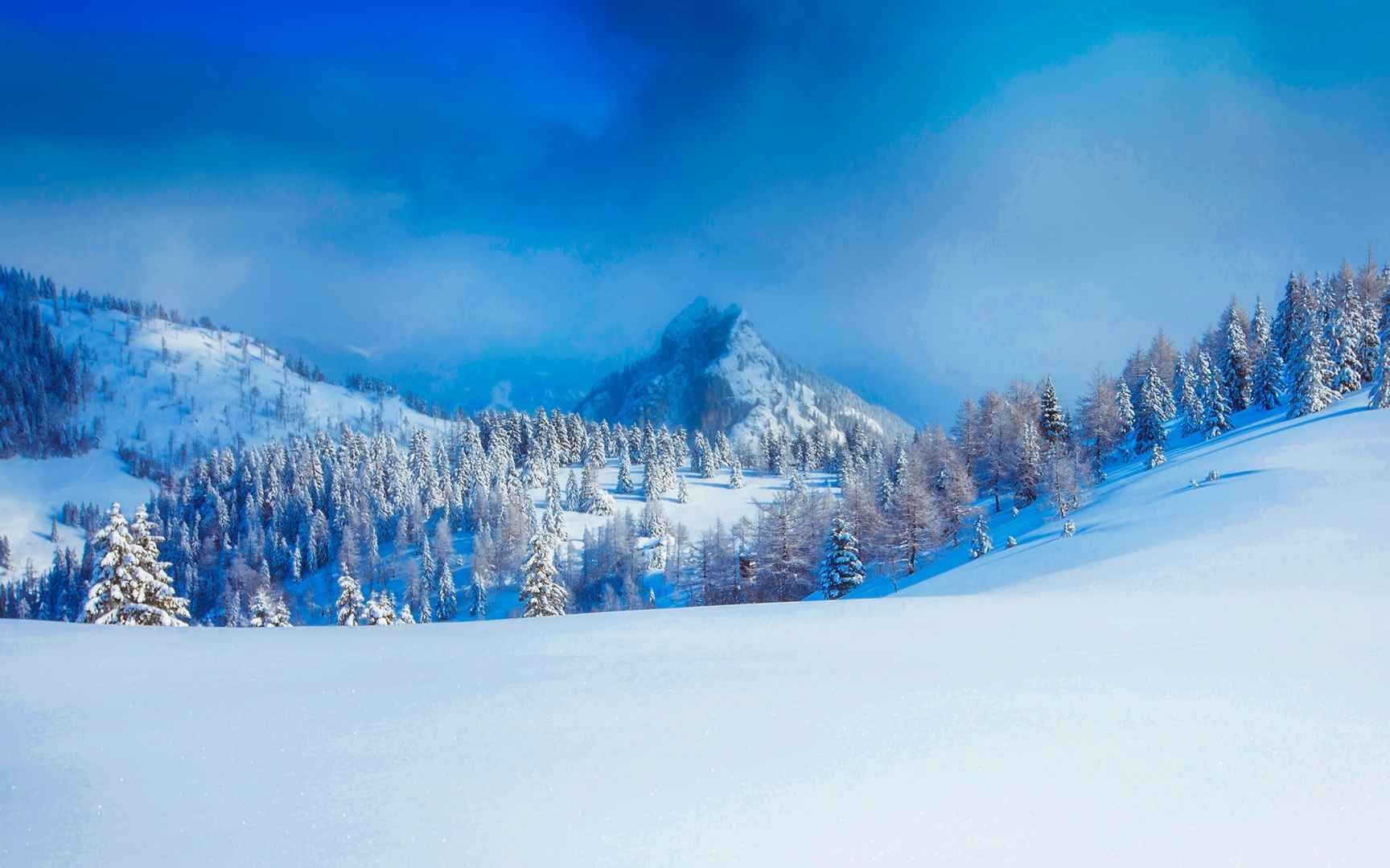 白茫茫的雪景桌面壁纸