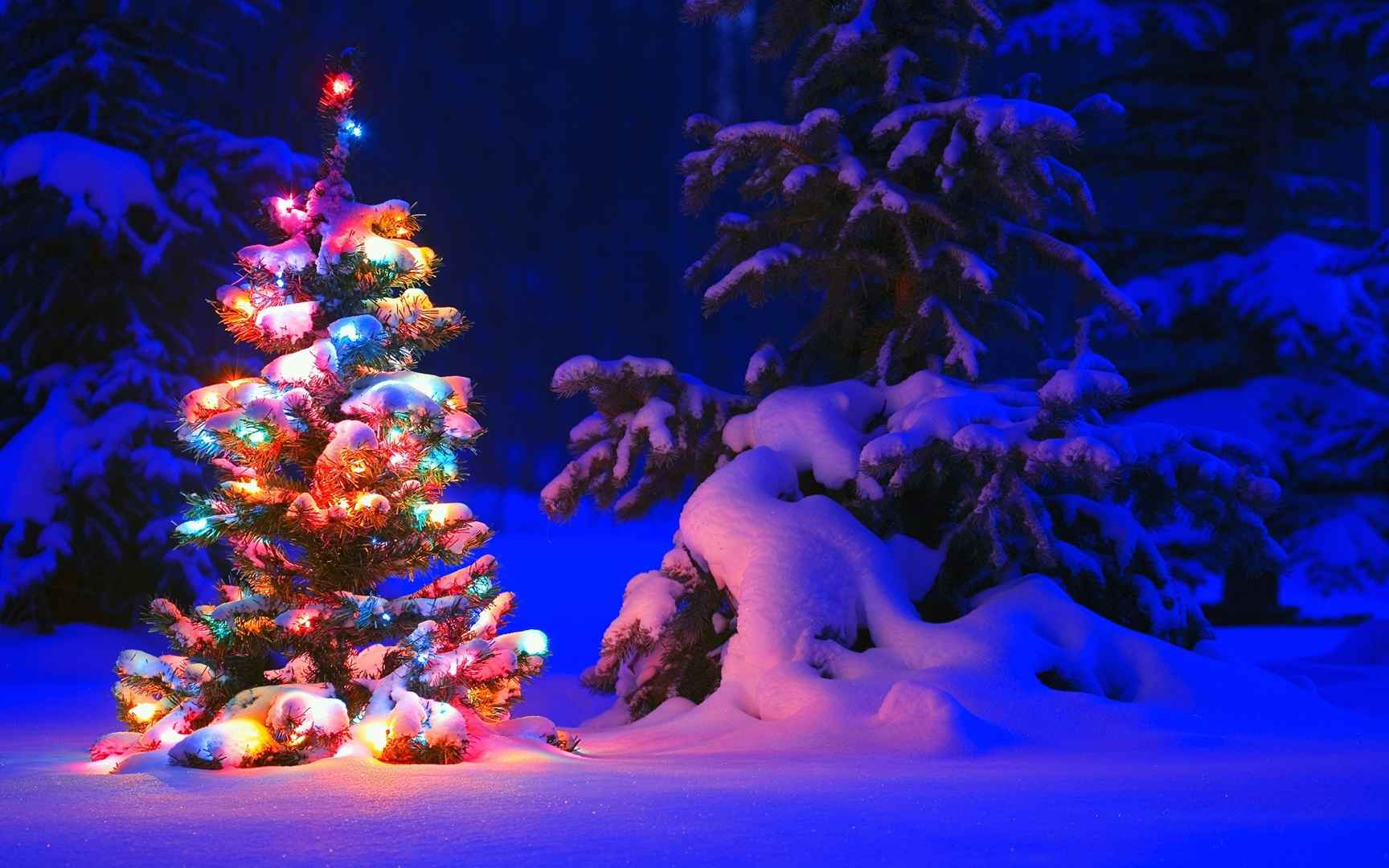 高清深冬的夜，凄凉中依然温暖电脑桌面壁纸