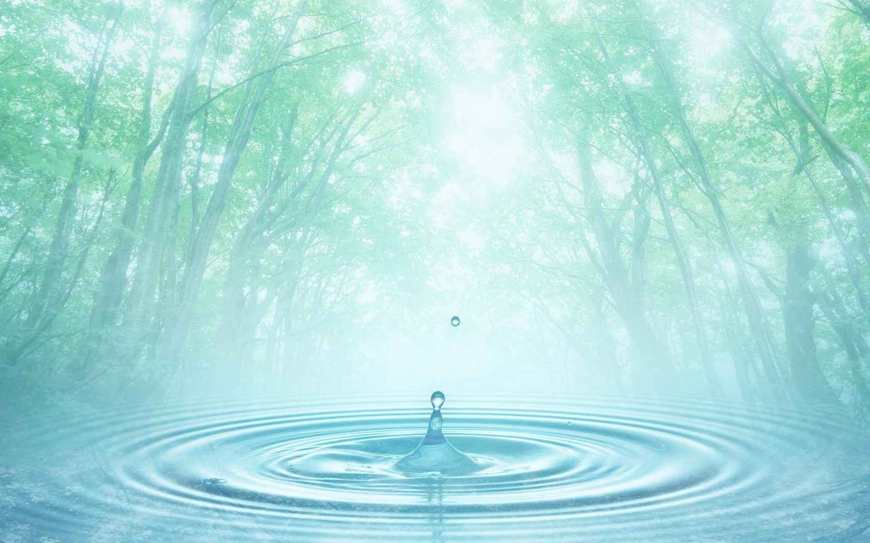 初夏的一抹温暖阳光桌面壁纸