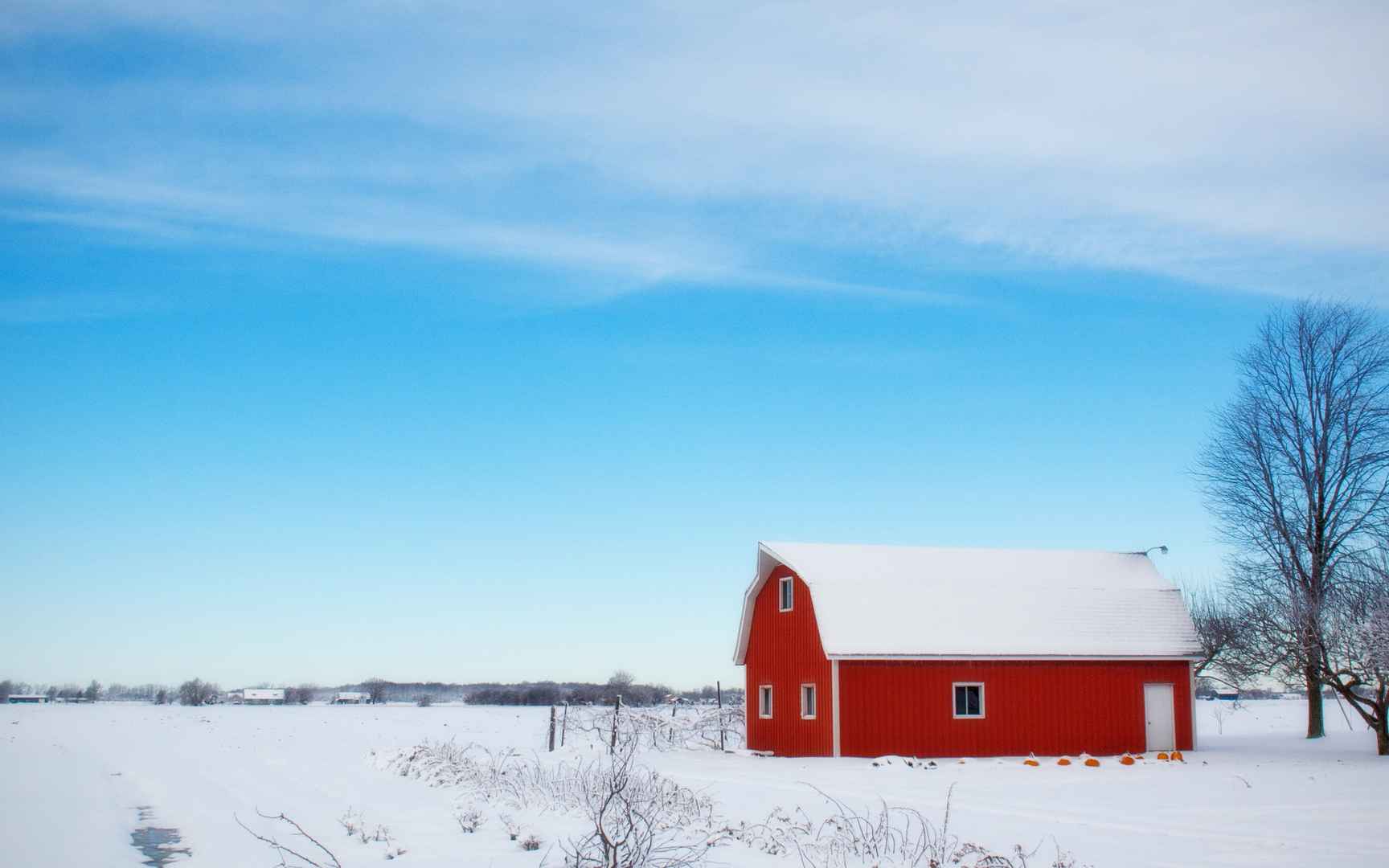 白茫茫的雪景桌面壁纸