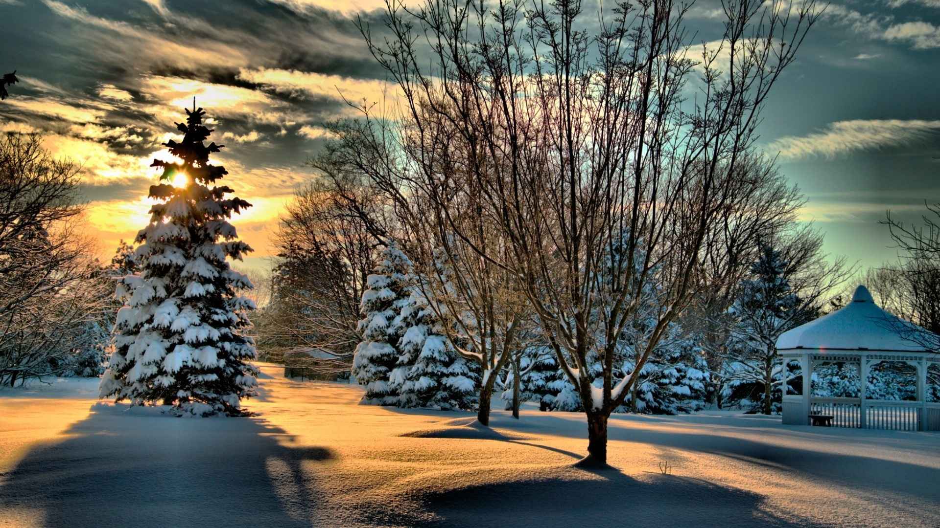 高清雪天的思绪_云杉电脑桌面壁纸-