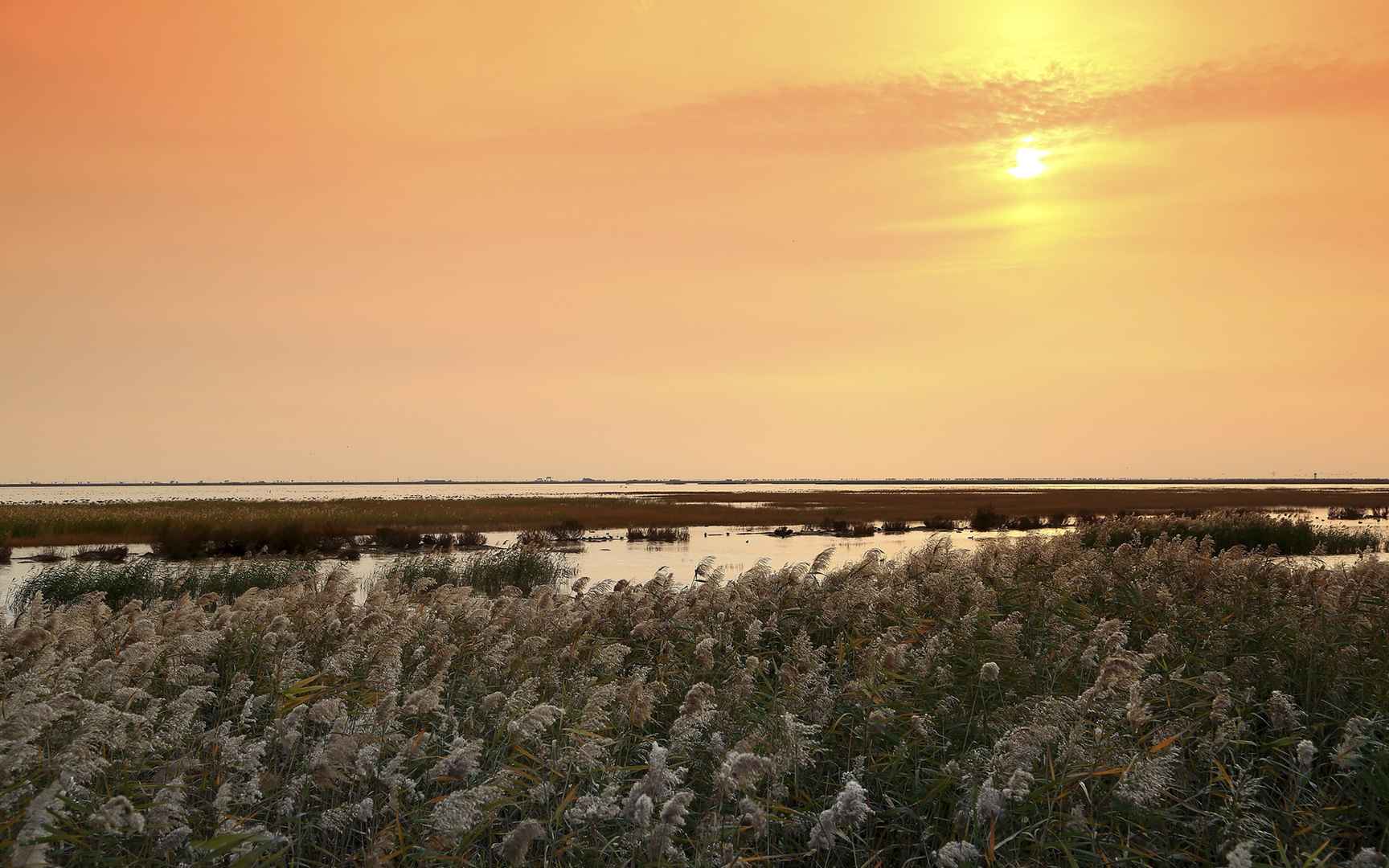 高清天津大港湿地公园夕阳风景电脑桌面壁纸-