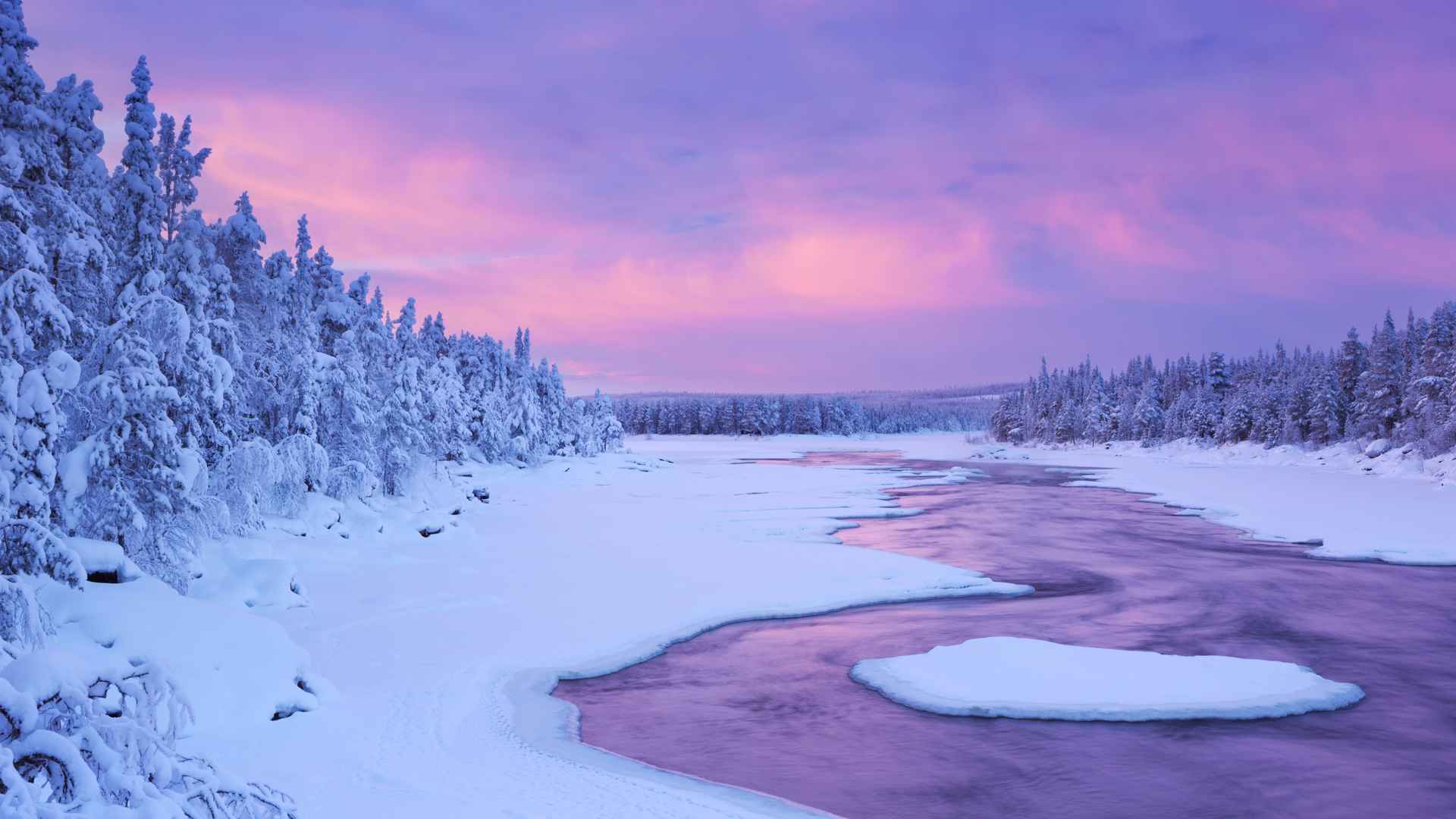 高清森林雪景唯美图片电脑桌面壁纸-