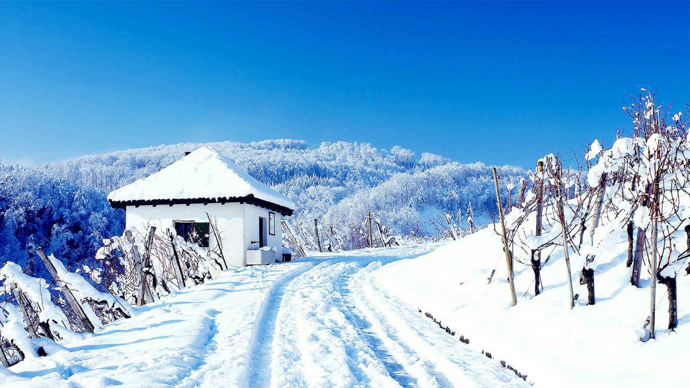 高清唯美的冬天雪景电脑桌面壁纸-