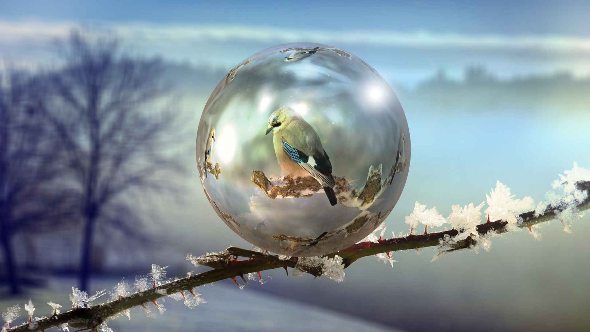 冰天雪地里的唯美风光桌面壁纸