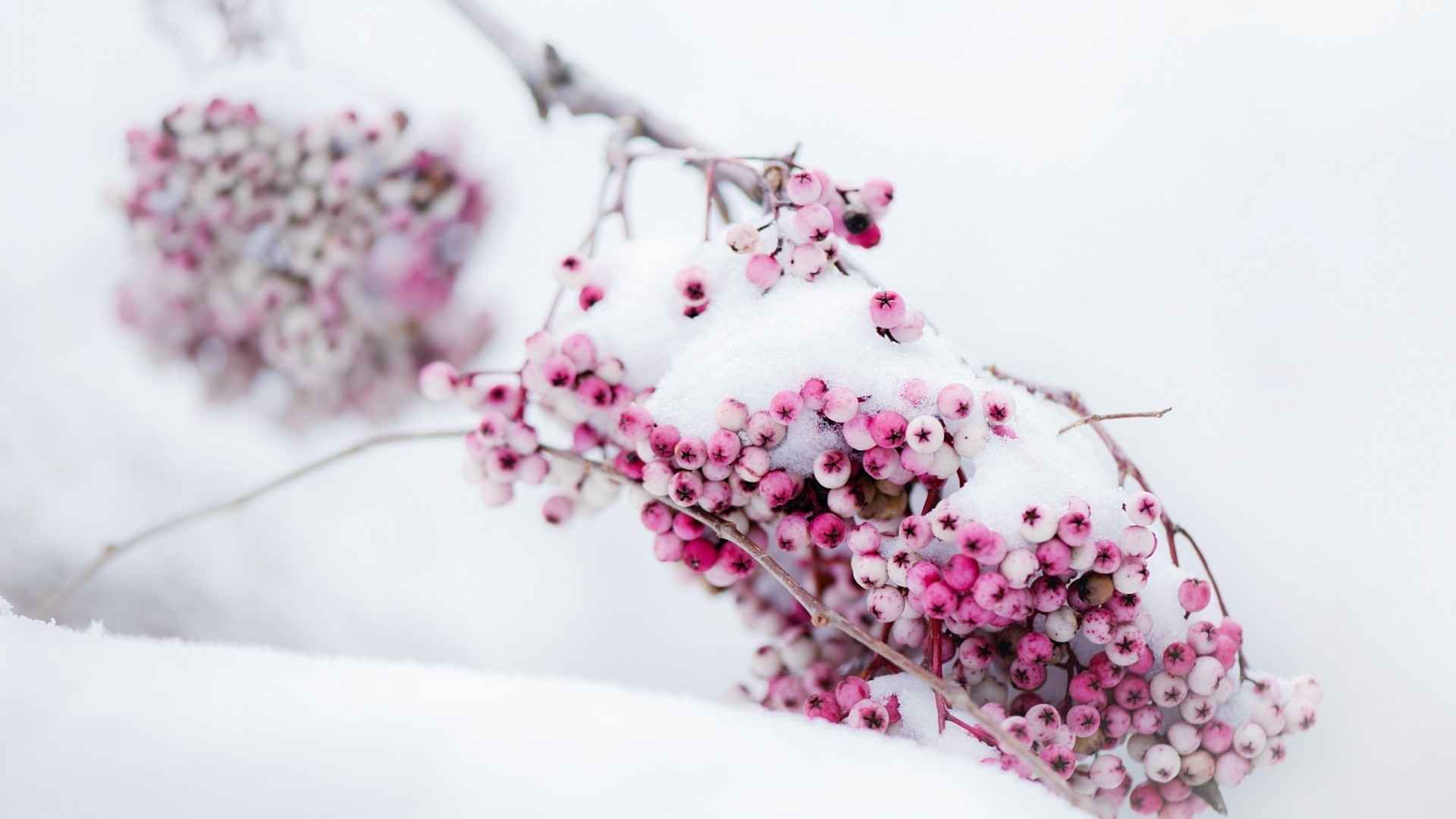 高清冬天的唯美雪景电脑桌面壁纸