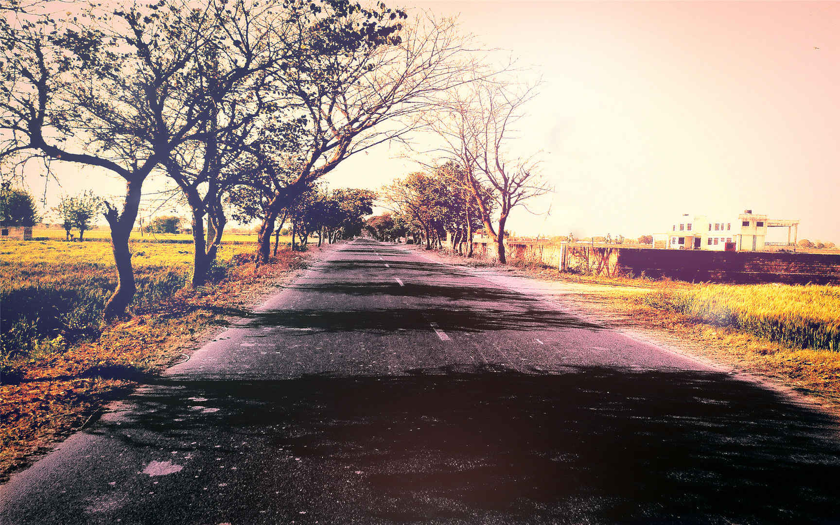 精选唯美好看的风景在路上高清图片合集电脑桌面壁纸下载-