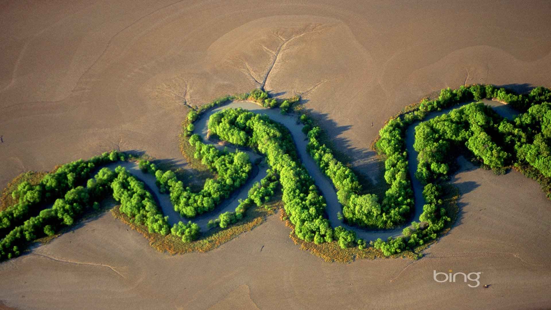 精选主题沙漠上的一片绿洲特写图片高清电脑桌面壁纸下载-