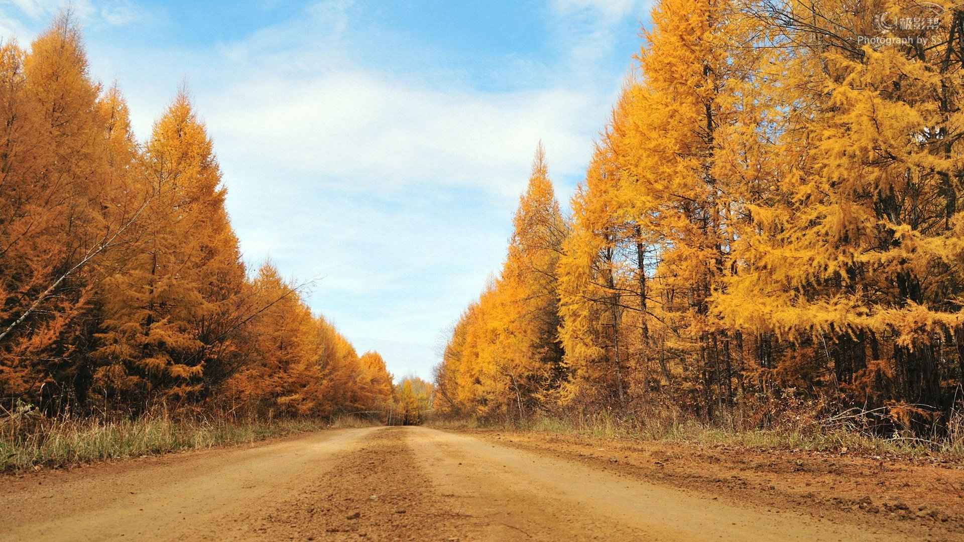 精选秋高气爽的秋天唯美景色图片电脑桌面壁纸宽屏下载-