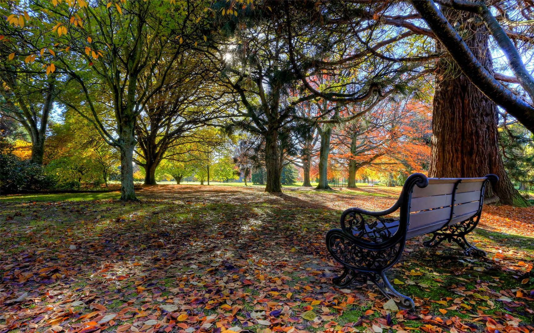 精选唯美意境秋天的树林惬意风景高清图片桌面壁纸下载-