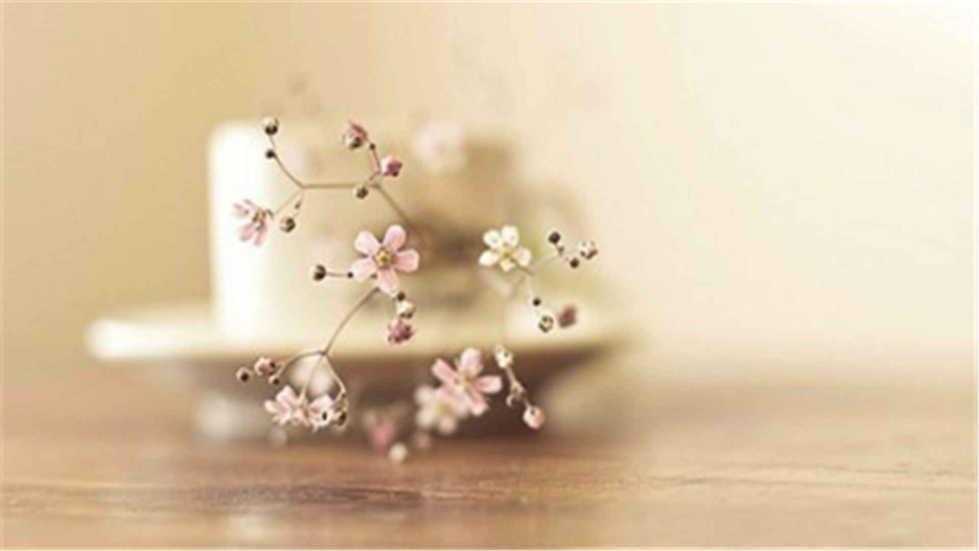 风景花集 - 世界太大我们太小电脑高清壁纸下载-