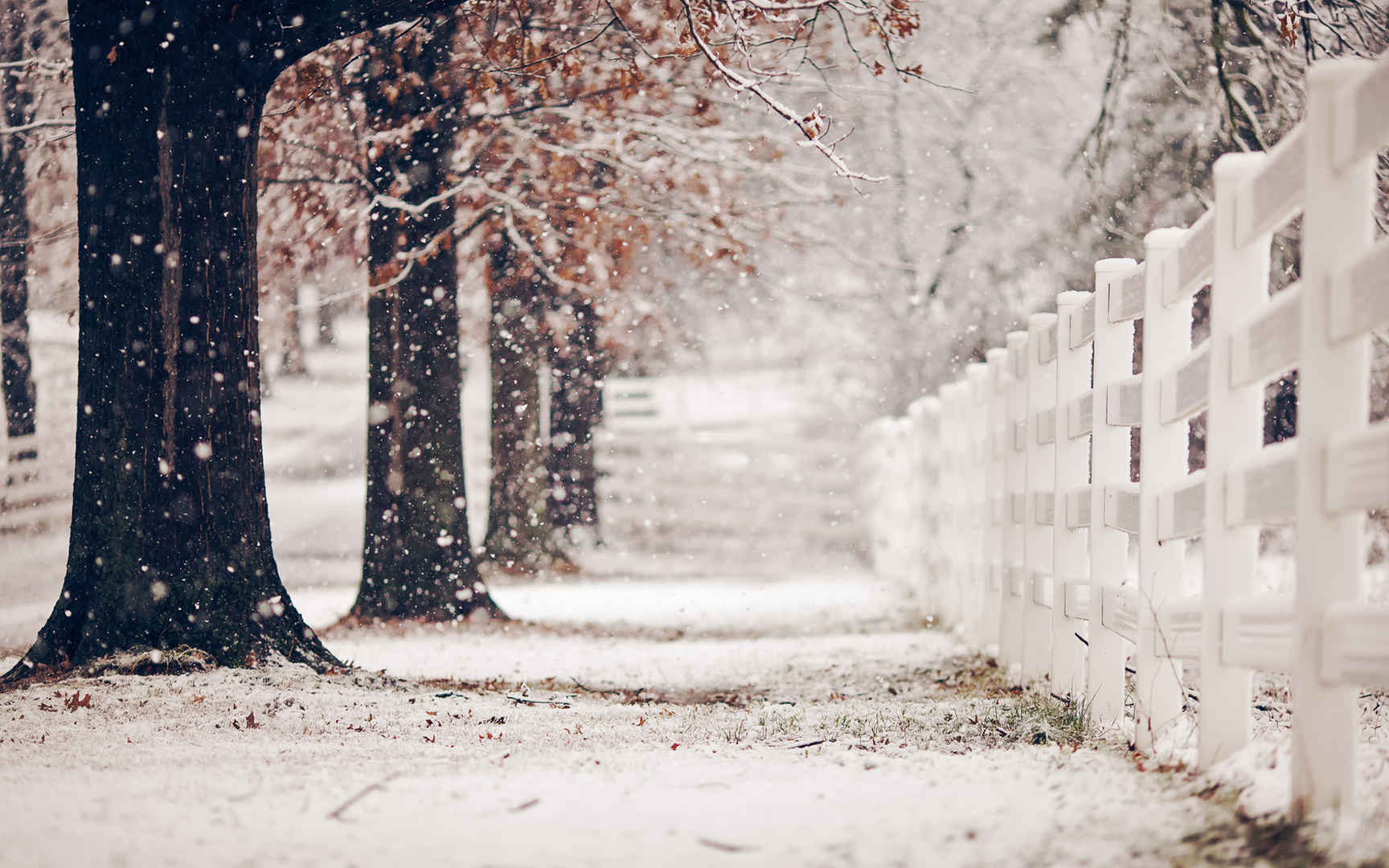 精选雪花唯美风景图片电脑桌面壁纸下载-