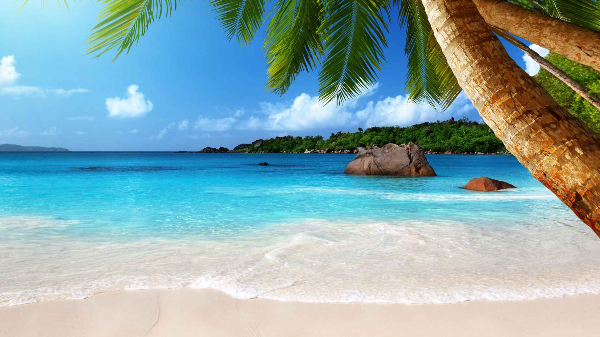 5k高清海滩椰树唯美风景桌面壁纸