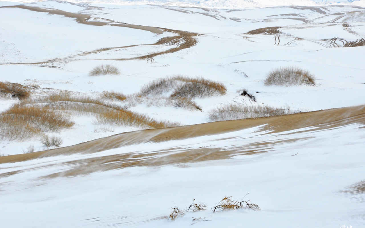 高清科尔沁沙地雪景电脑桌面壁纸