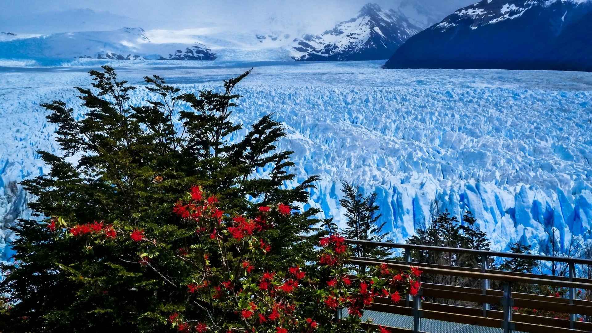 阿根廷湖著名的冰川湖桌面壁纸