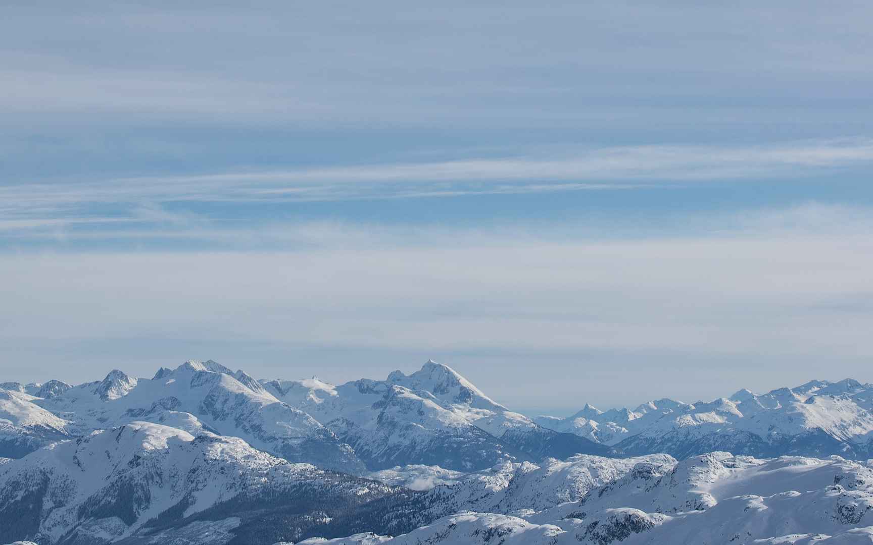 白茫茫的雪景桌面壁纸