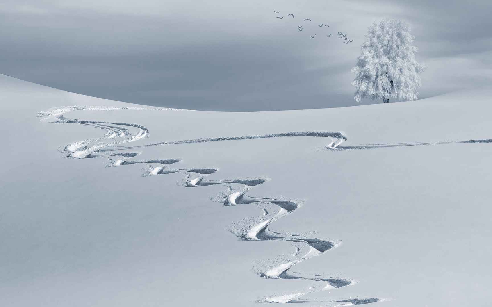 白茫茫的雪景桌面壁纸