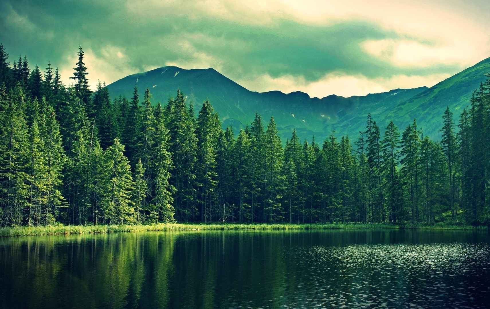 高清愿生命恬淡如湖水电脑桌面壁纸-