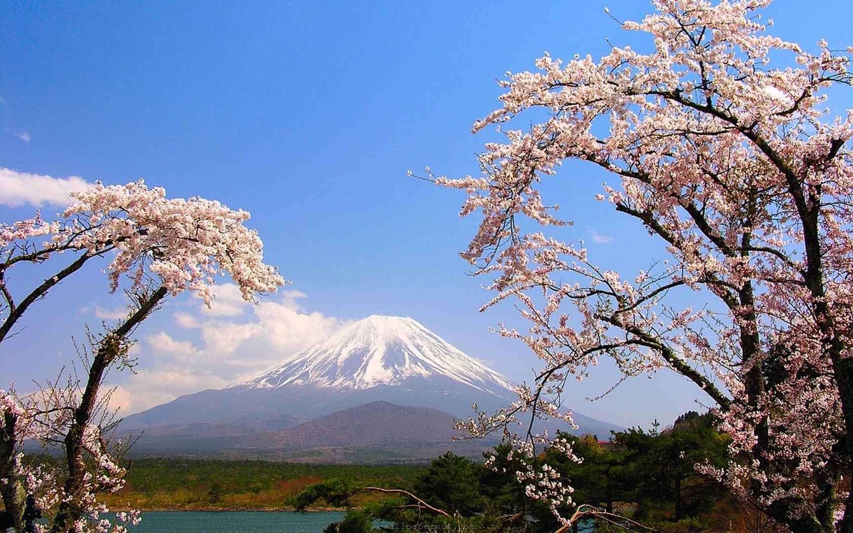 高清唯美梦幻的富士山电脑桌面壁纸-