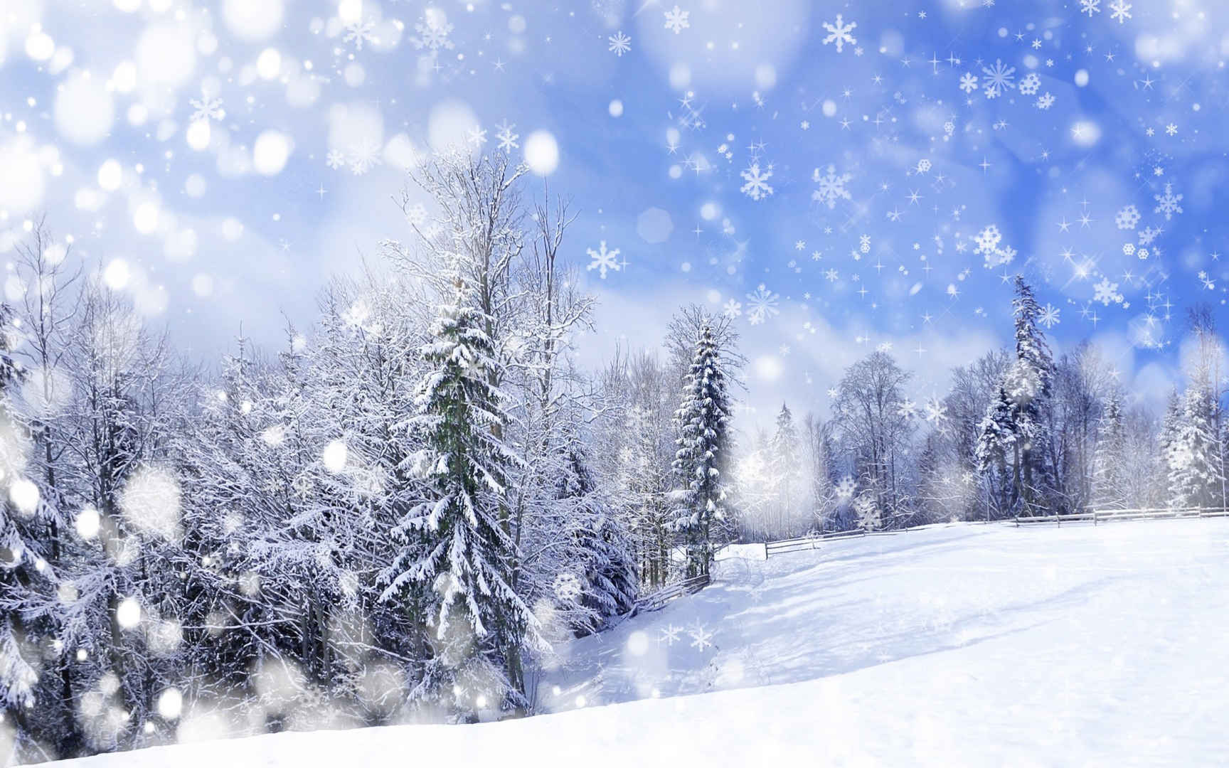高清美丽的雪景和松树电脑桌面壁纸-