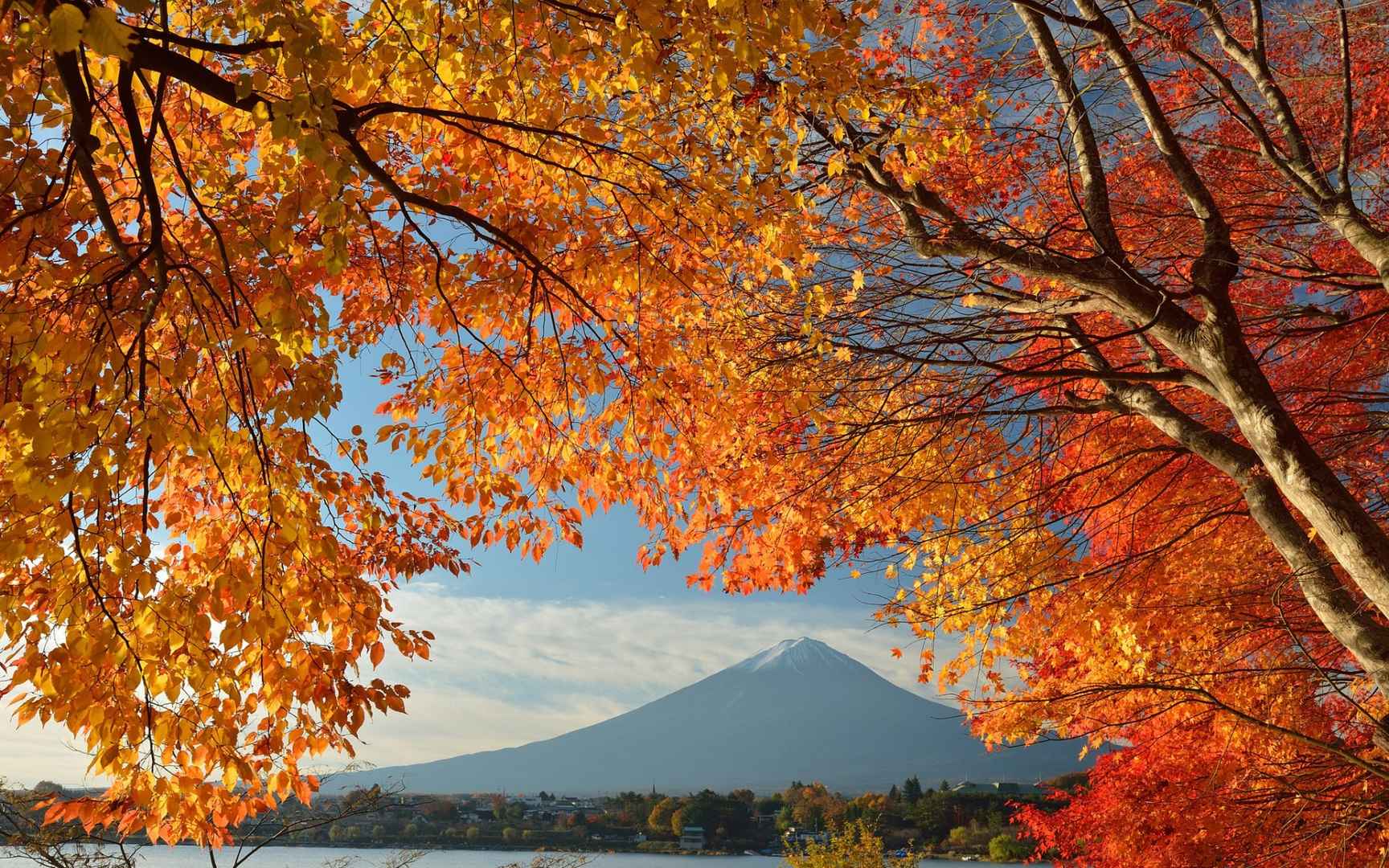 高清富士山秋色如画电脑桌面壁纸-