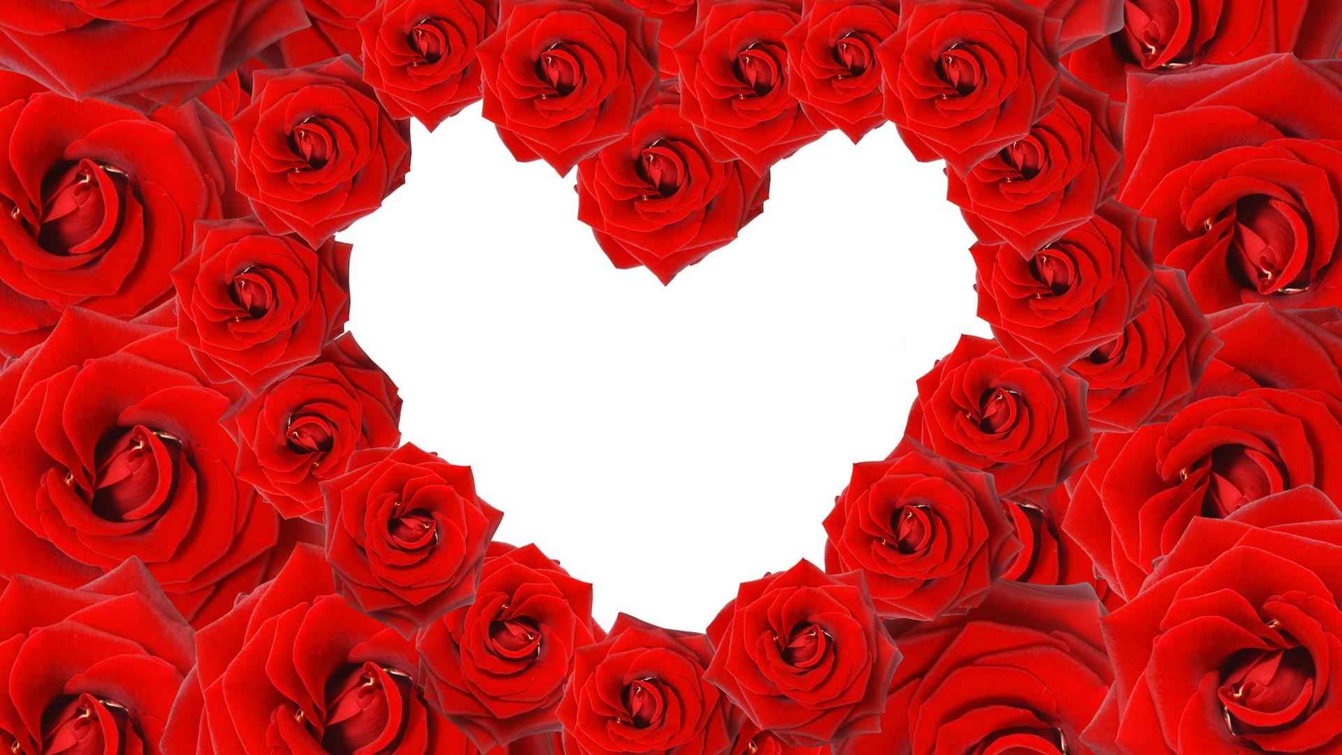 高清浪漫红玫瑰电脑桌面壁纸-