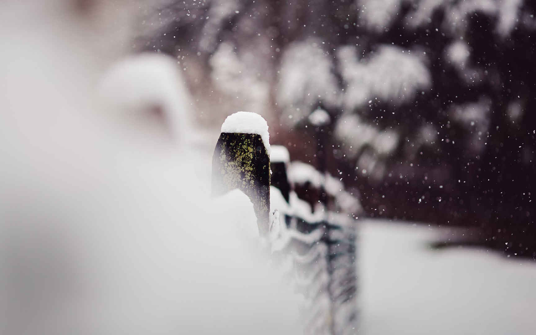 高清搜狗风光雪花飘飘电脑桌面壁纸-