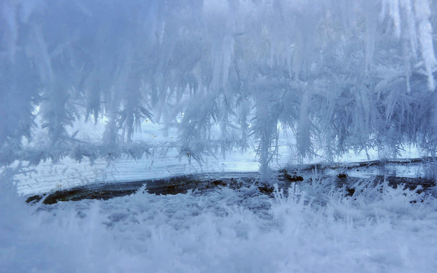 白色冰雪世界桌面壁纸