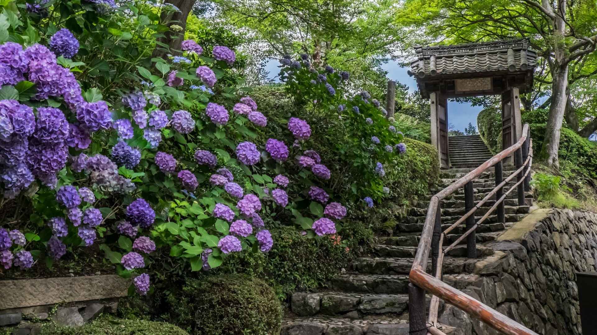 高清京都伏见稻荷绝美风景电脑桌面壁纸-