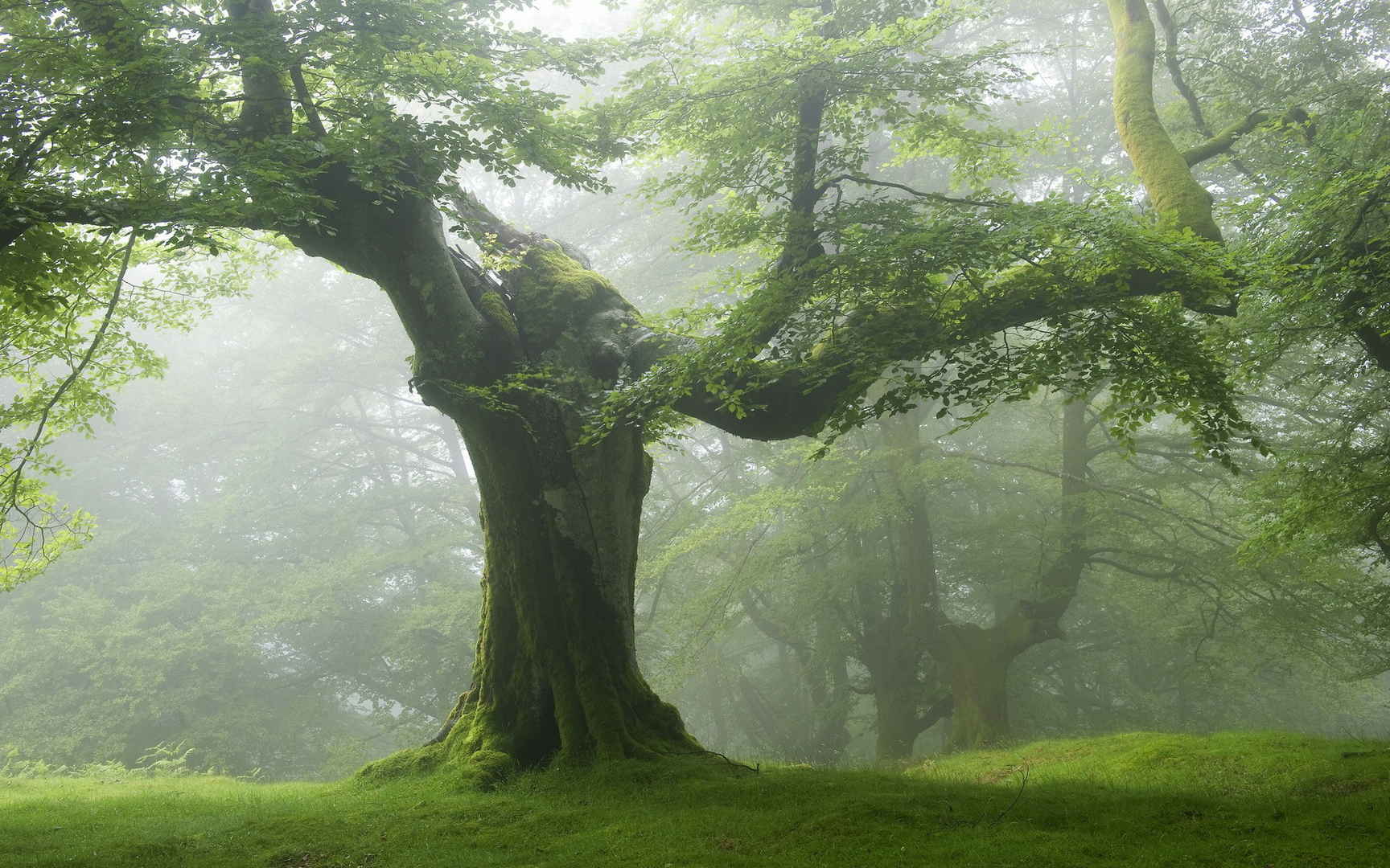 高清绝美自然风景电脑桌面壁纸