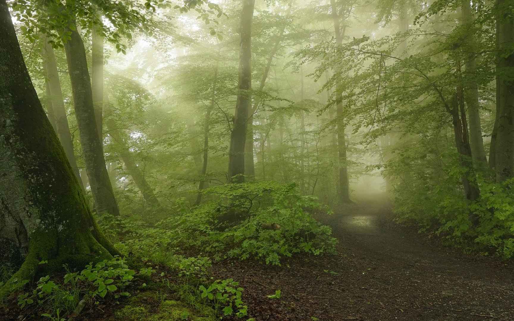 春雨的时光桌面壁纸