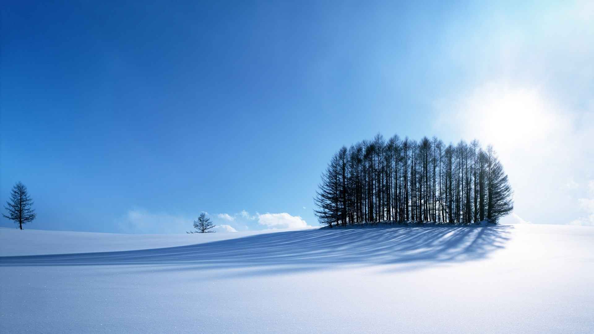 高清冬天沐浴在阳光之下的雪原电脑桌面壁纸-