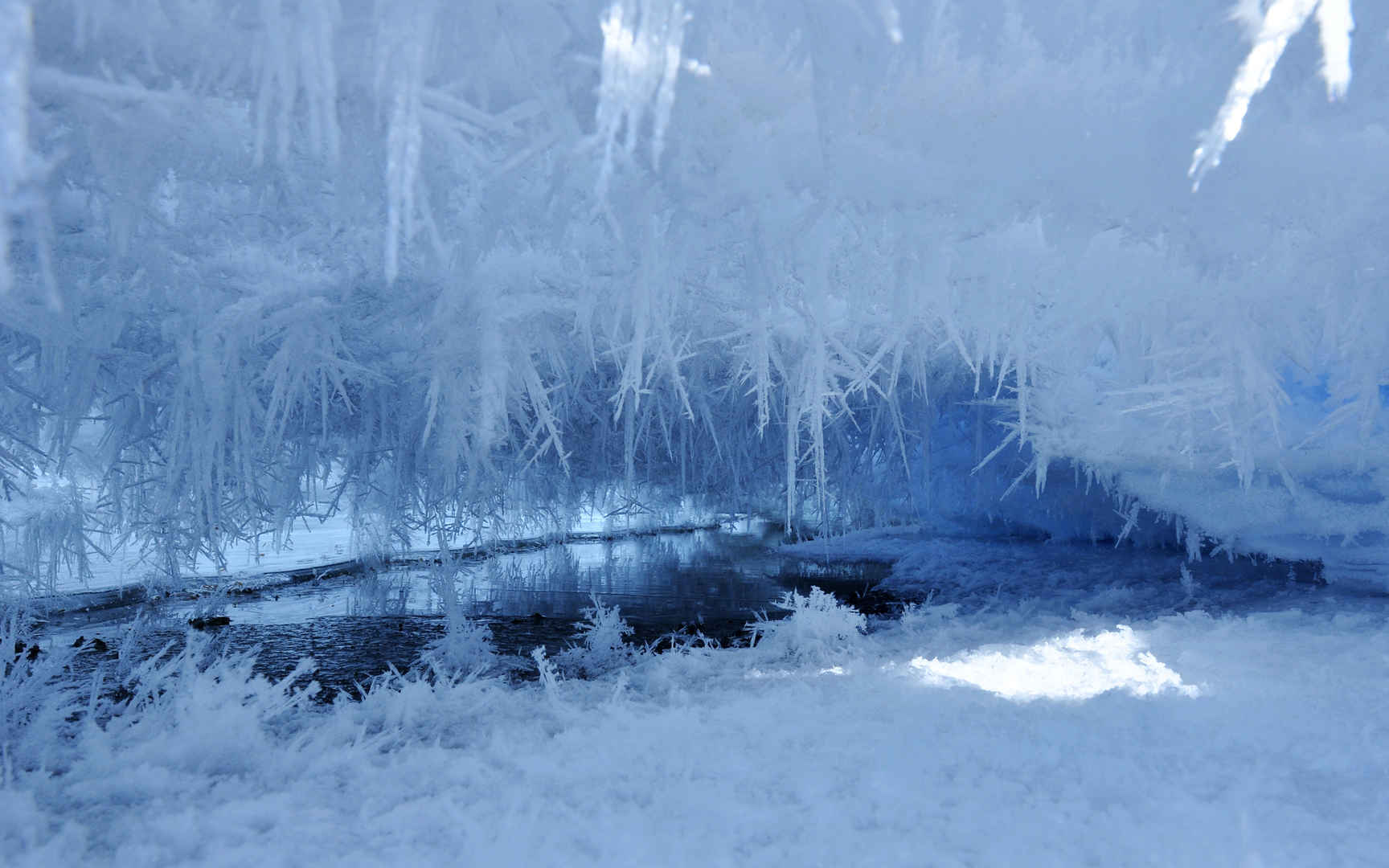 白色冰雪世界桌面壁纸