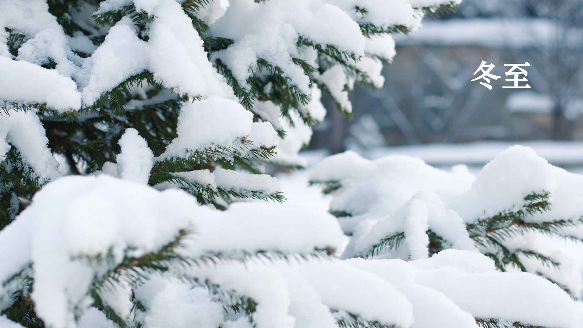 高清冬至美丽雪景电脑桌面壁纸-