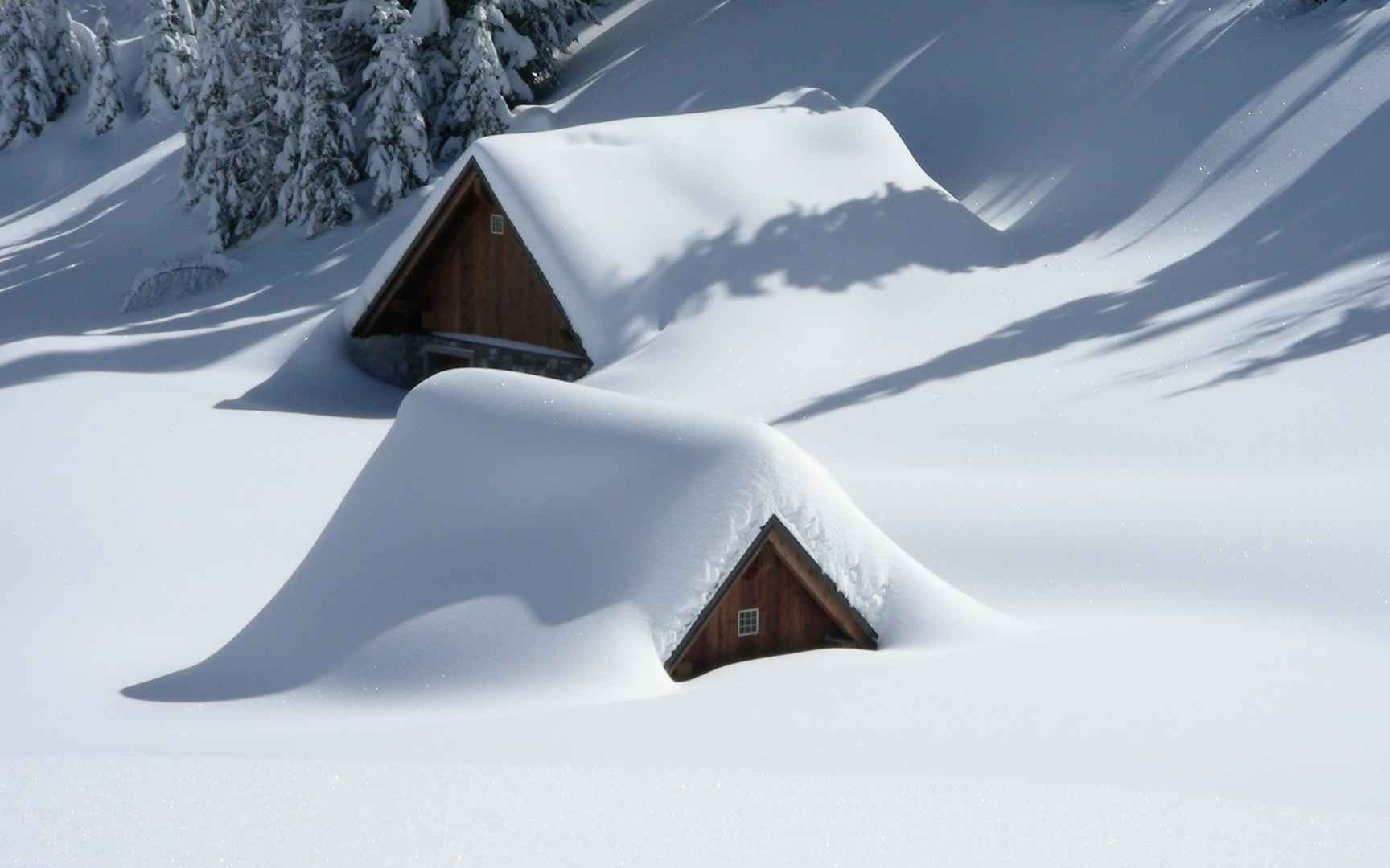 白茫茫的雪景桌面壁纸