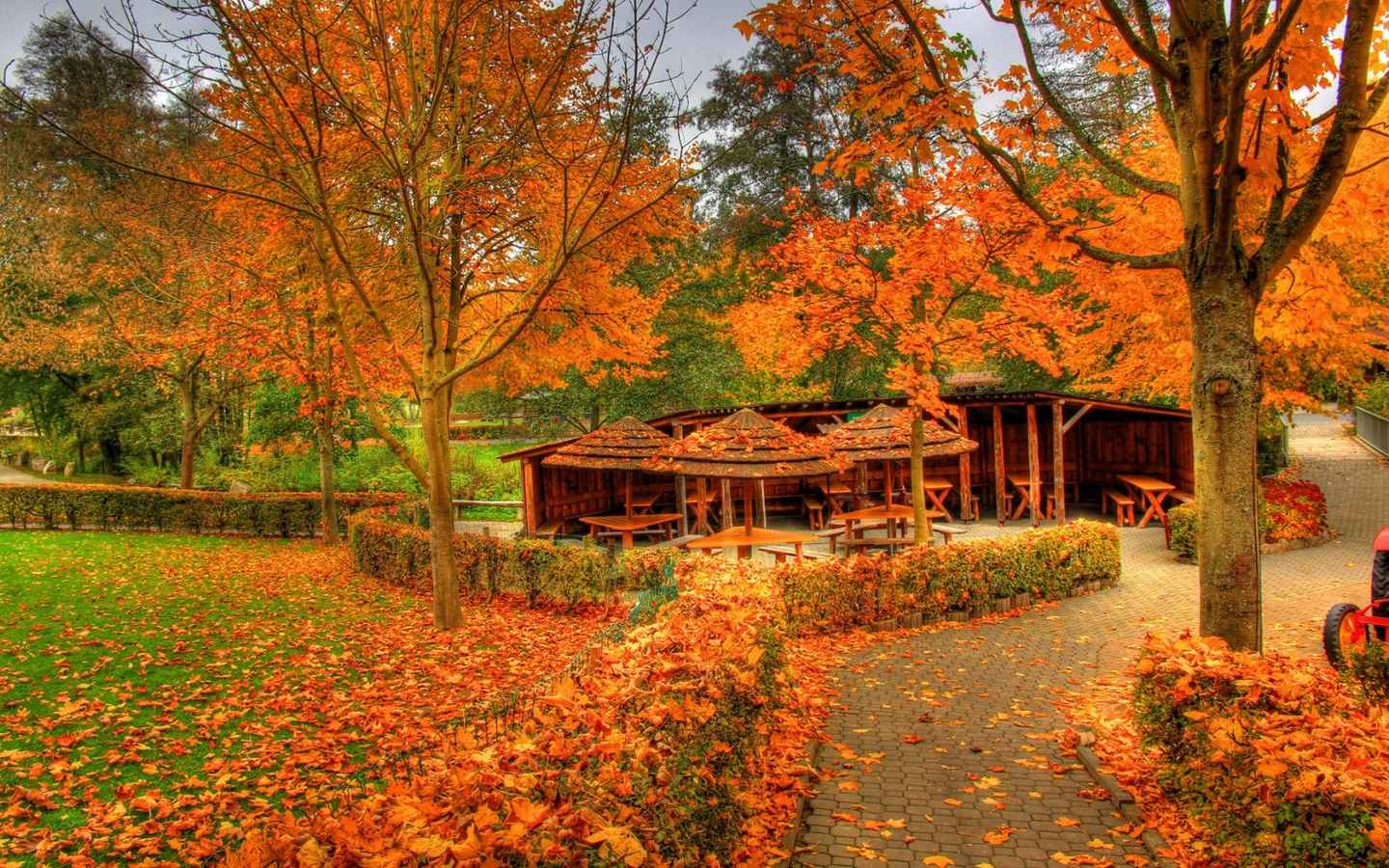高清秋天的自然景色电脑桌面壁纸-