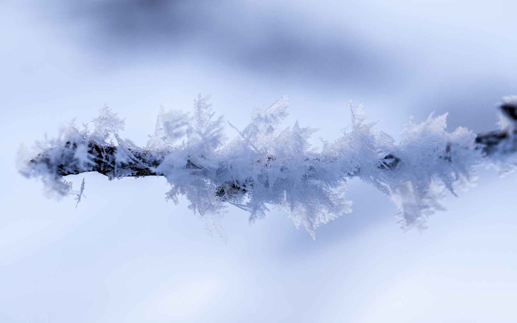 高清冬天 是季节匆忙后的一次停歇电脑桌面壁纸-