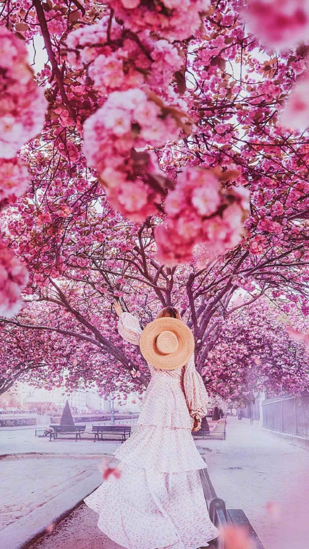 樱花树下的翩翩少女唯美手机壁纸-