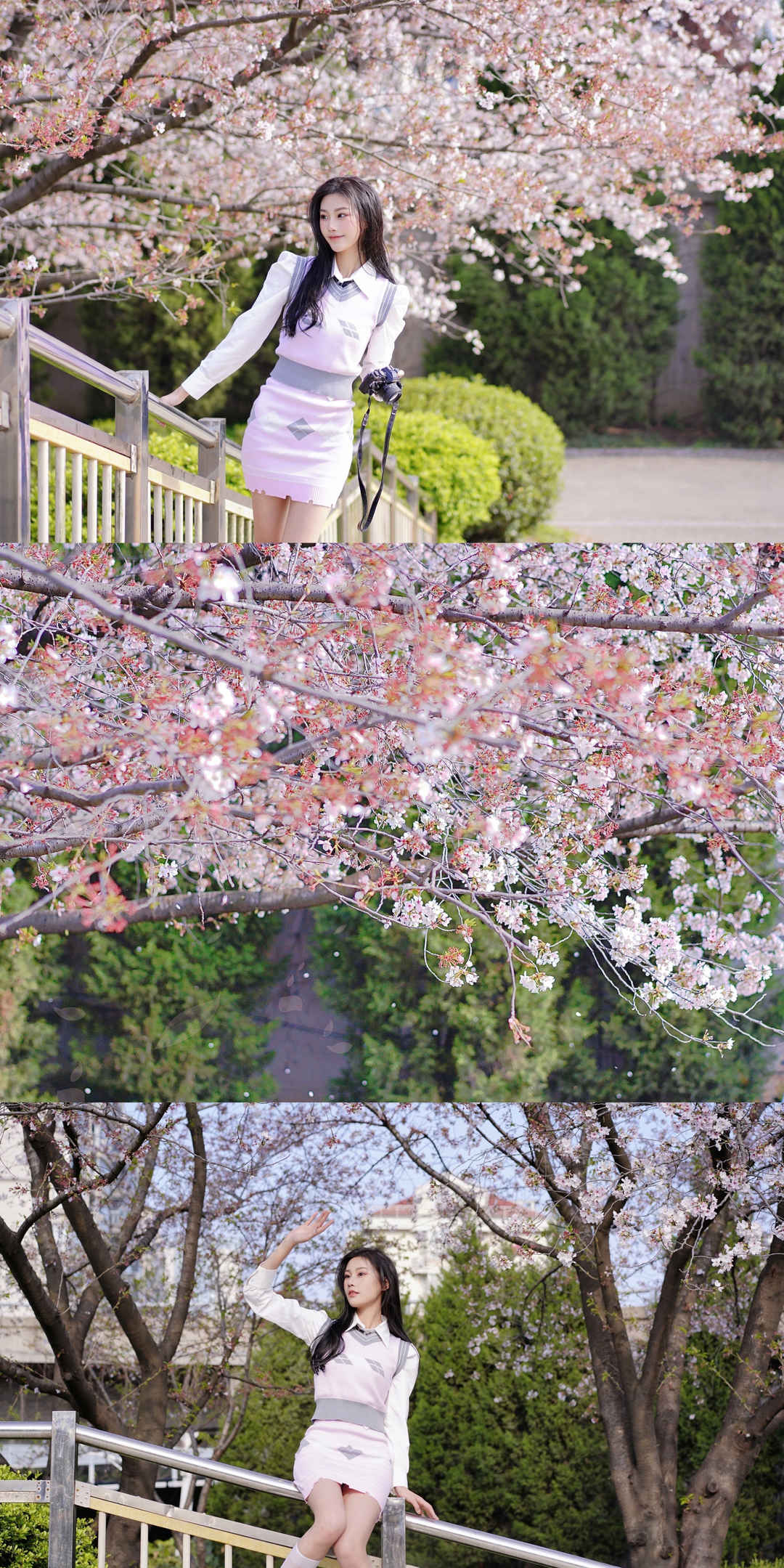 樱花树下的少女壁纸-