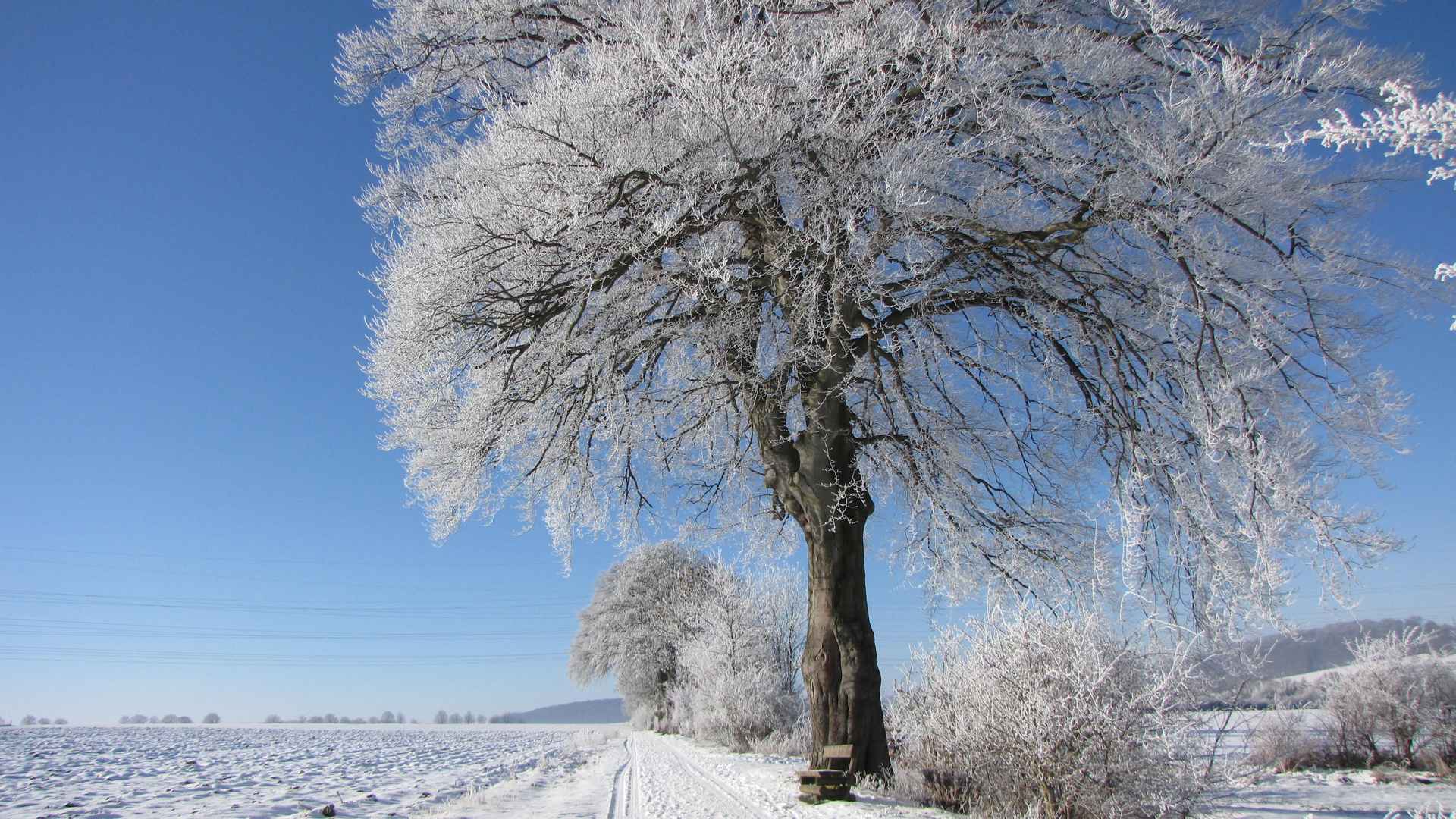 冬季雪景高清图片-