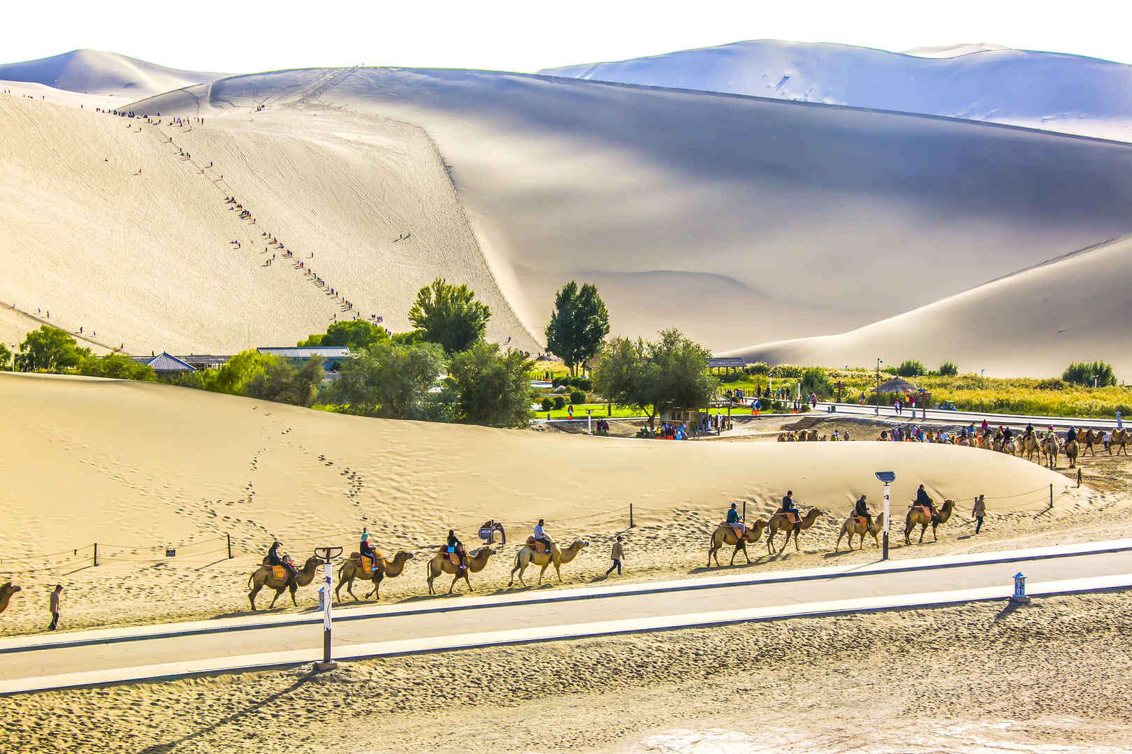 骆驼队走过戈壁沙漠月牙湖高清壁纸-