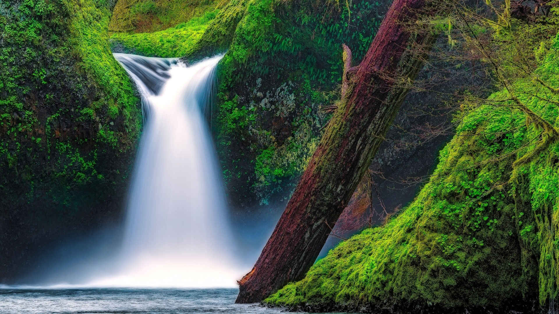 美国哥伦比亚峡谷瀑布溪流壁纸图片-