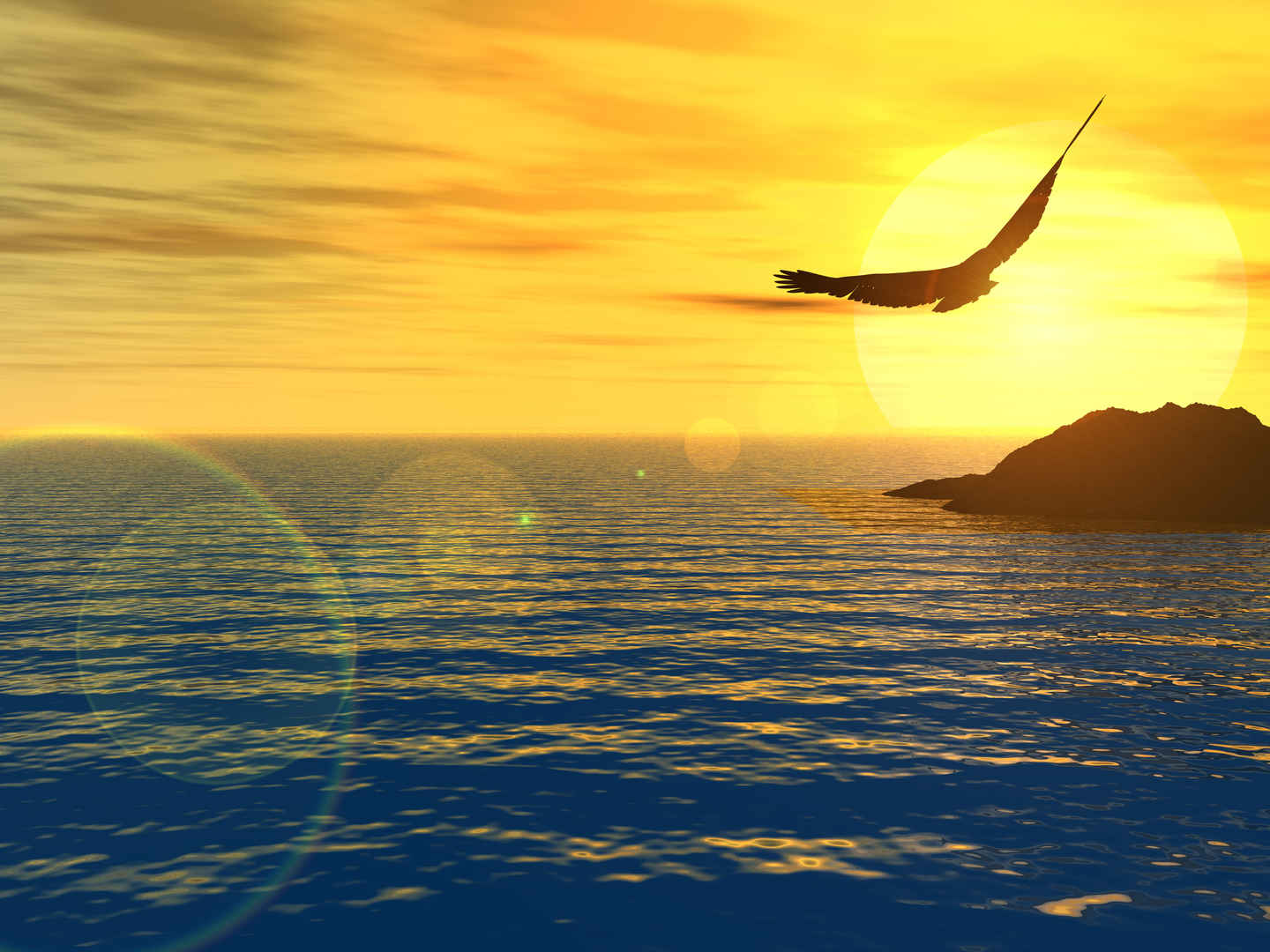老鹰在黄昏海岸海洋上空盘旋图片-