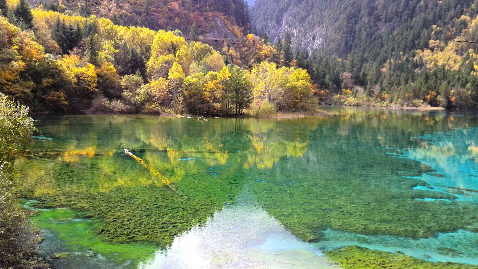 高清湖水清澈九寨沟风景壁纸