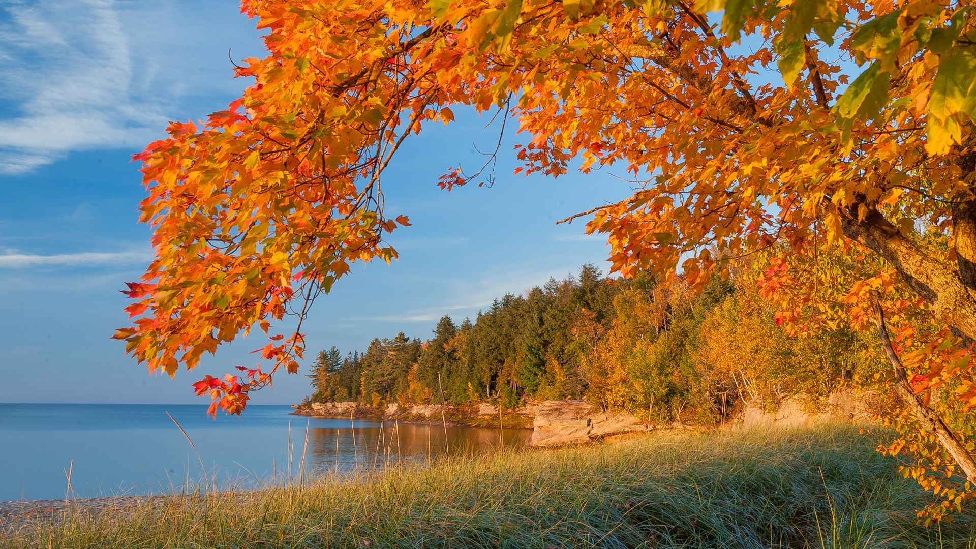 唯美秋季树木风景壁纸图片-