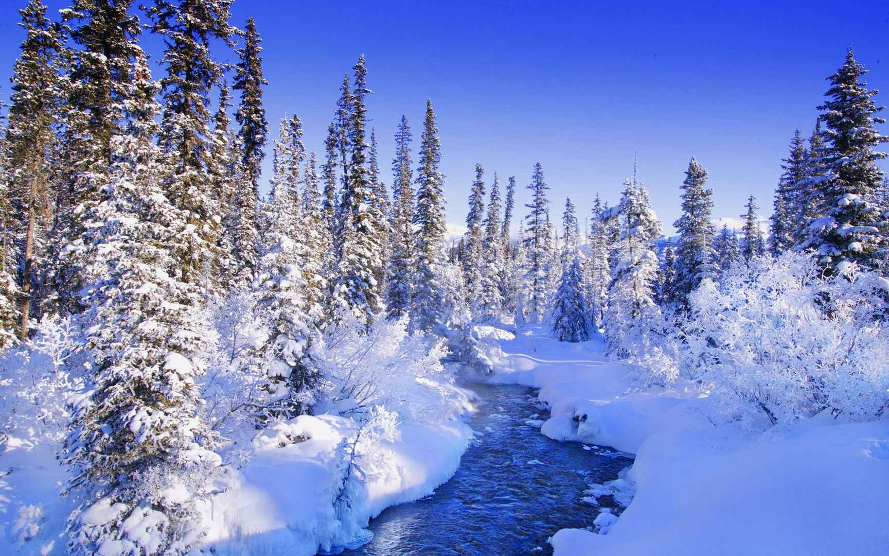 冬季漫天飞雪雪景图片-