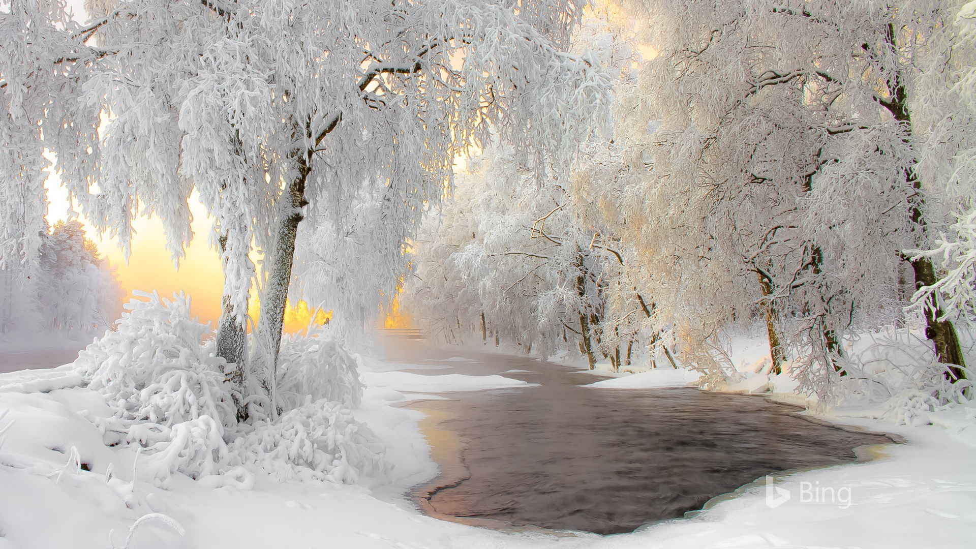 唯美雪景