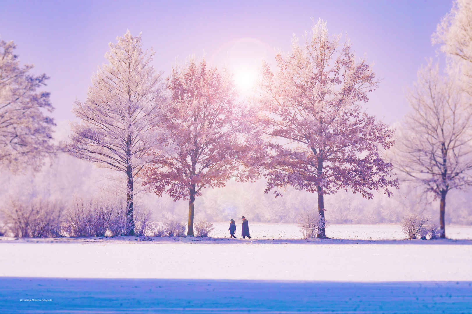 冬天户外白色唯美自然景观壁纸